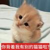 天使阿琪