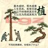 植拓机械