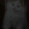 猩野