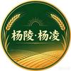 杨陵·杨凌