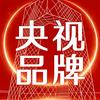 央视品牌直通车
