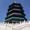 大王叫我来巡山