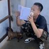 潘绿爱玩狗