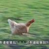 林清寒
