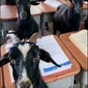 李总