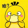 @叫我小累同学吖