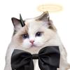 Wéroñttonl👻（橘猫控）