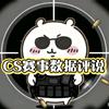 CS赛事数据评说