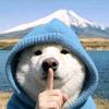 狗狗侠