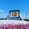 风之海（追剧）
