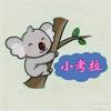 小考拉