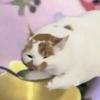打的太菜被说演子的那个雨夜