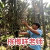槟榔咩老师