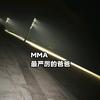 【特立独行】MMA