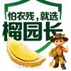 榴园长严选 树熟榴莲直供