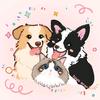 毛毛卷