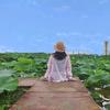 梦想与现实