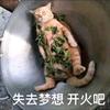 碎碎念-AIGC(疯狂涨粉版)