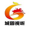 城固视听