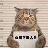 穿越专用泥头车