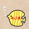 七小鱼游戏解说