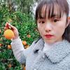 燕姐  正宗奉节脐橙种植户
