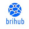 Brihub