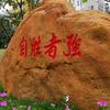 玩学悟践