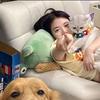 蛋黄酱酱