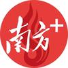 南方+茂视频