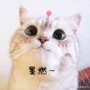 💋宝儿