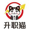 升职猫档案查询托管补办服务