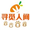 寻觅人间