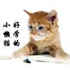好学的小懒猫