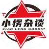 杂谈的小愣