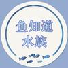 鱼知道水族（盈载茶城负一楼）