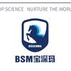 佛山宝深玛科技（BSM）