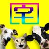 视频同款（专业搭建）