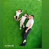 奥迪一族