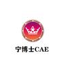 宁博士CAE
