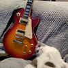 Thierry 🎸🍷铁黑