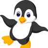 企鹅动画