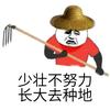 娱乐至上