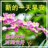 柱哥2688