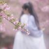 你居然真带我撞树？！？
