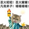 @怪客（橘络）