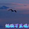 青春60后