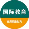东莞新东方国际教育