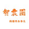 智囊团的那些小事儿