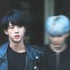 金硕珍的狗